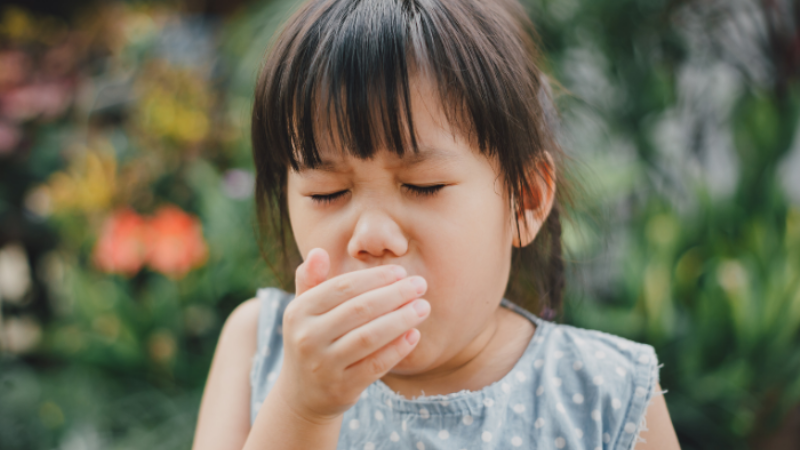 Trà gừng ấm giúp làm dịu và kháng viêm cho cổ họng