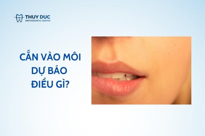 Sức khỏe răng miệng và giấc mơ: Mối liên hệ thú vị