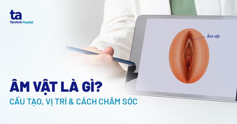 Giải Phẫu Cơ Quan Sinh Dục Nữ: Hiểu Rõ Hơn Về Sức Khỏe