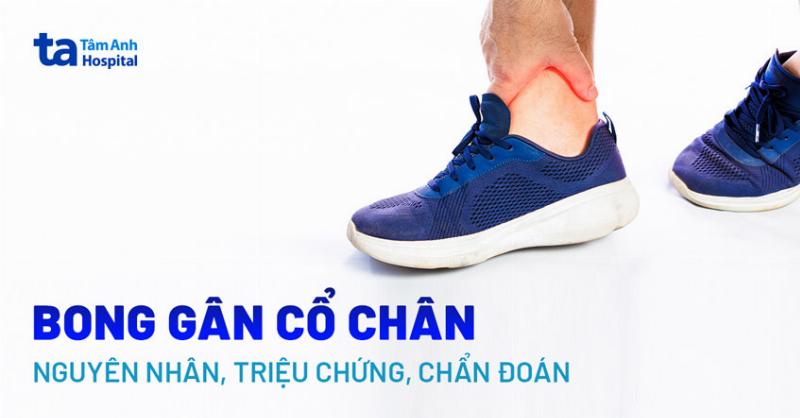 Cơ Và Gân Khớp Cổ Chân