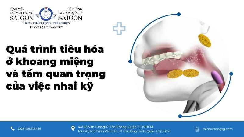 Hệ Tiêu Hóa Gồm Những Cơ Quan Nào?