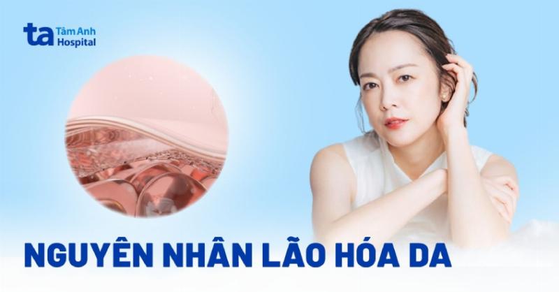 Ngăn ngừa lão hóa sớm