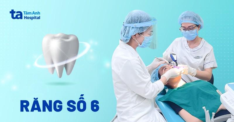 Răng số 6 mọc khi trẻ 6 tuổi