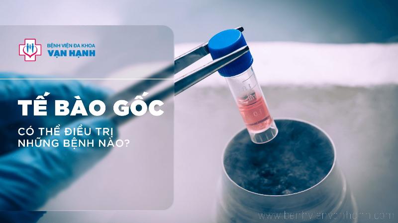 Tế bào gốc có thể điều trị những bệnh gì?