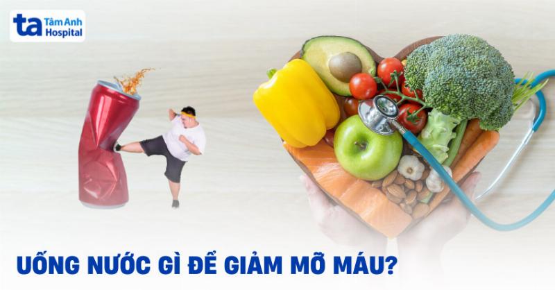 Uống nước lá gì để giảm mỡ máu