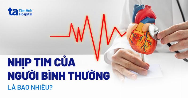 Nhịp tim bình thường người trưởng thành