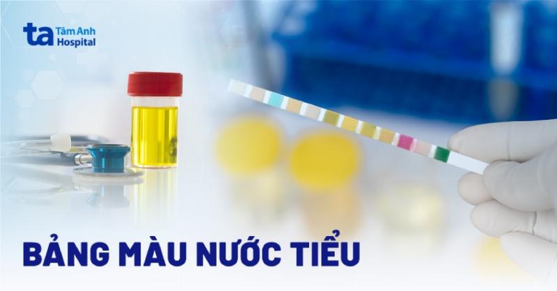 Thay Đổi Lượng Và Màu Sắc Nước Tiểu Bệnh Thận