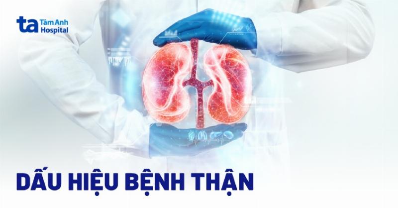 Vị Trí Thận Trên Cơ Thể