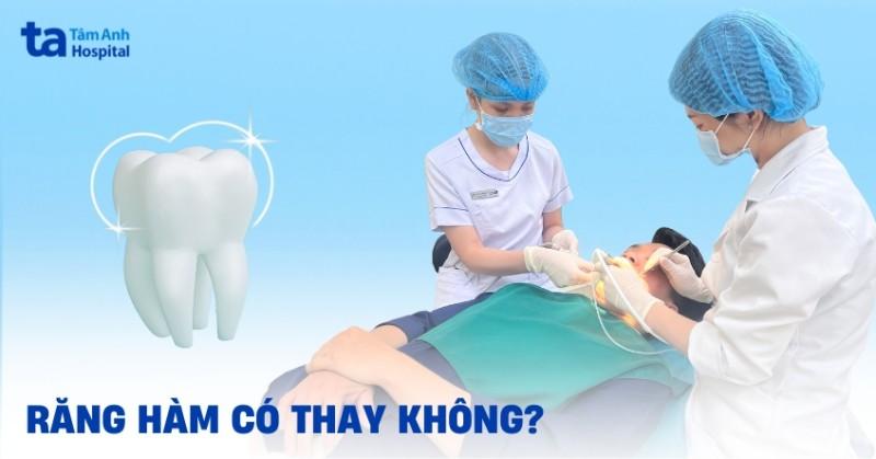 Răng Hàm Sữa Của Trẻ