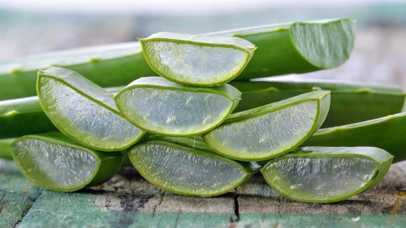 Sử dụng gel nha đam tươi hiệu quả