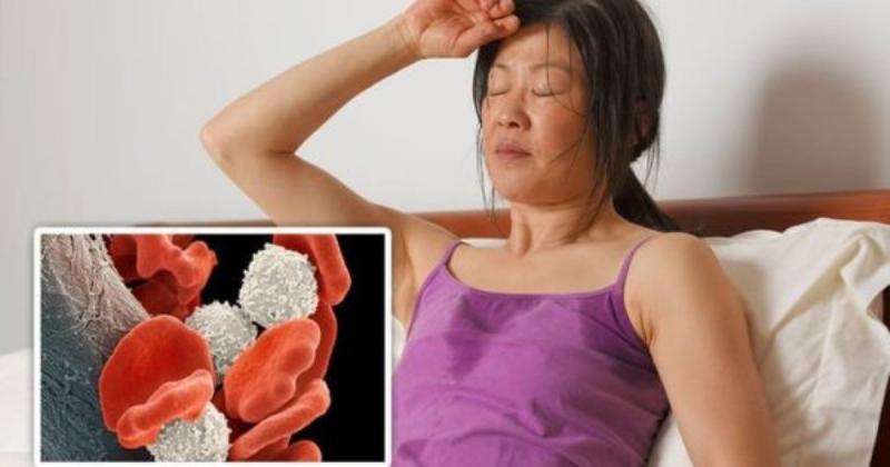 Ung thư máu giai đoạn đầu: Hình ảnh minh họa các tế bào máu bị ảnh hưởng