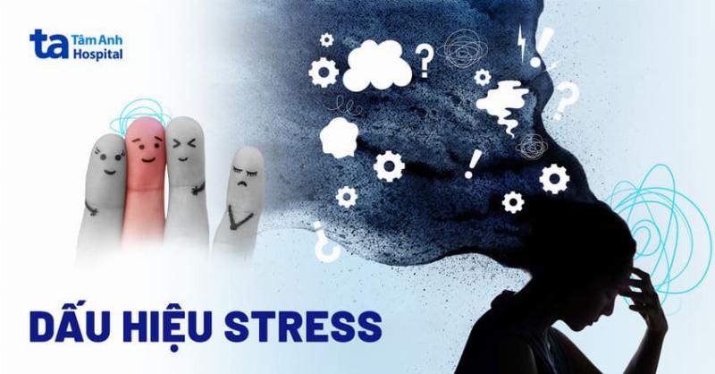 Các Dấu Hiệu Bạn Bị Stress Nghiêm Trọng Cần Nhận Biết Sớm