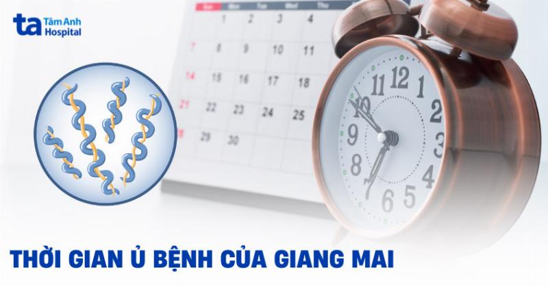 Giang Mai Ở Nam Giới: Hiểu Rõ Để Phòng Tránh và Điều Trị Kịp Thời