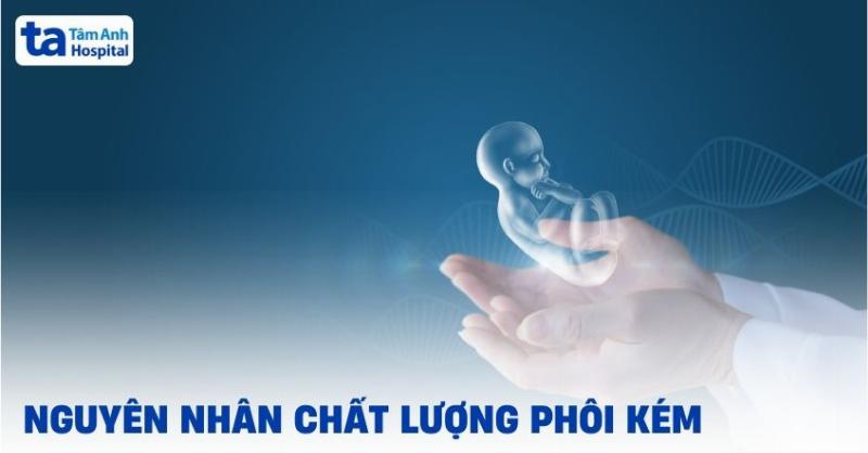 Cặp đôi đang tham khảo ý kiến chuyên gia y tế về sức khỏe sinh sản sau chuyển phôi