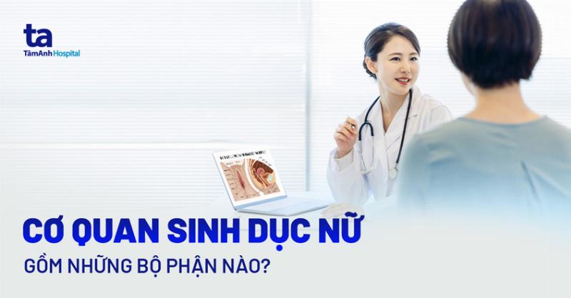 Khám phá Bí ẩn Về Bộ Phận Sinh Dục Phụ Nữ: Chìa Khóa Vàng Cho Sức Khỏe Toàn Diện