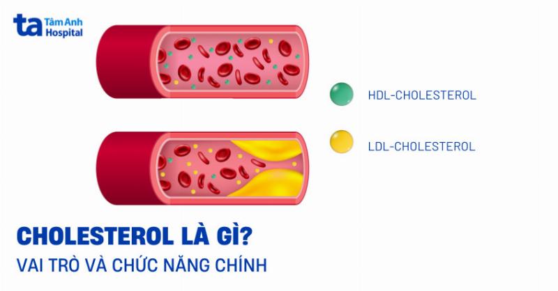 Cholesterol Toàn Phần Là Gì? Hiểu Rõ Chỉ Số Quan Trọng Cho Sức Khỏe Tim Mạch