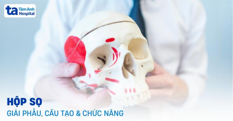 Viêm Xoang Sàng Là Gì? Hiểu Đúng Để Điều Trị Hiệu Quả