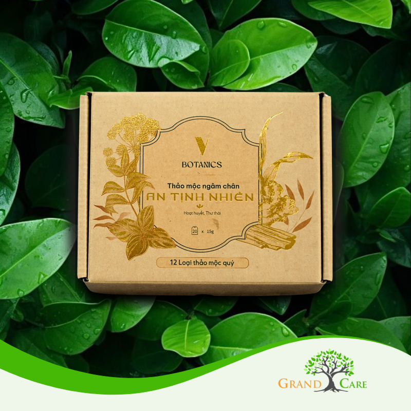 Các loại thảo mộc gừng và quế