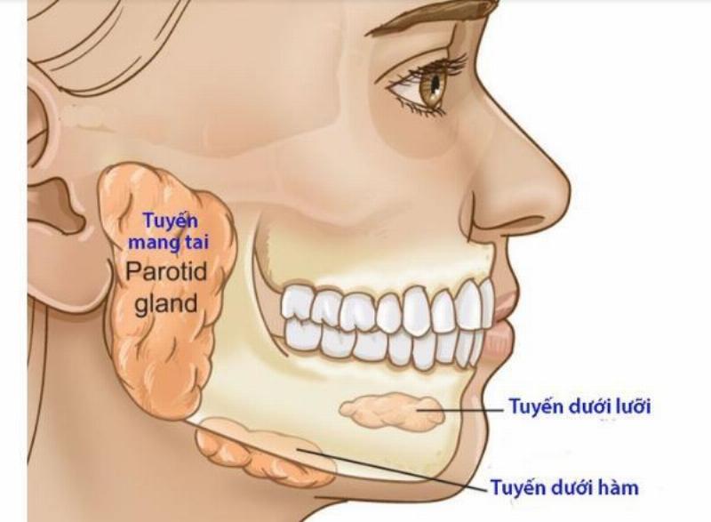 Chăm sóc sau điều trị u tuyến nước bọt dưới hàm giúp bệnh nhân phục hồi nhanh và hiệu quả