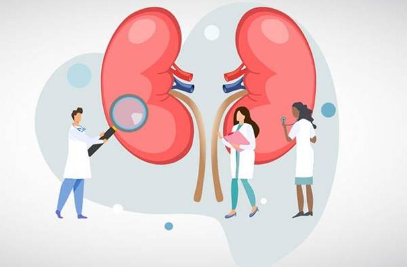 Biểu đồ quy trình các bước chẩn đoán viêm thận, từ thăm khám lâm sàng đến các xét nghiệm chuyên sâu như xét nghiệm máu, nước tiểu, siêu âm và sinh thiết thận