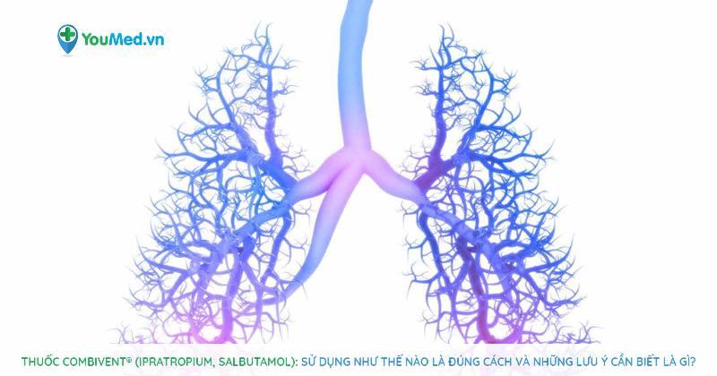 Chuyên gia y tế đưa ra lời khuyên về thuốc xông khí dung