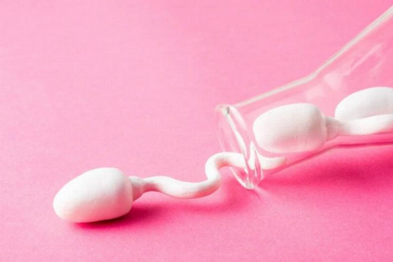 Hình minh họa cơ chế xuất tinh bình thường và xuất tinh ngược ở nam giới