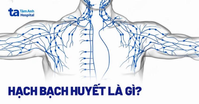 Dấu Hiệu Ung Thư Di Căn: Những Điều Cần Biết Và Không Nên Bỏ Qua