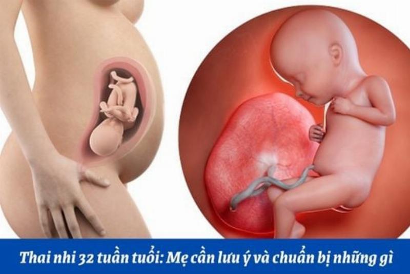 Trước Khi Chuyển Dạ Em Bé Có Đạp Không? Giải Mã Cử Động Thai Nhi Giai Đoạn Cuối Thai Kỳ
