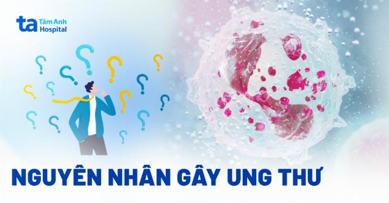 Yếu Sinh Lý Nam Giới: Hiểu Đúng, Trị Trúng Để Lấy Lại Phong Độ