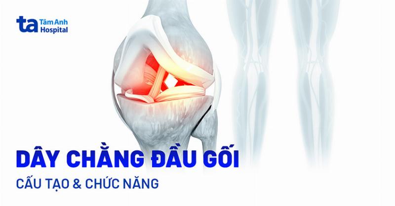 Cách Chữa Giãn Dây Chằng Hiệu Quả và Những Điều Cần Biết