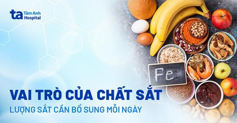 Bieu do minh hoa co che hap thu sat va cach giam tac dung phu khi uong sat bo sung