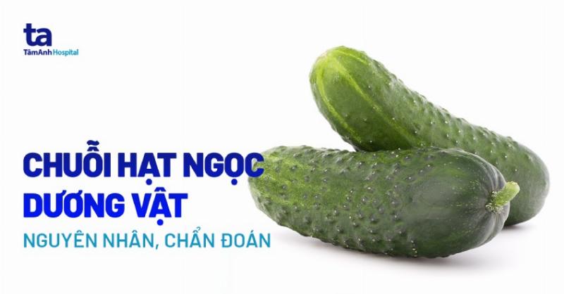 Hình ảnh mô phỏng hạt ngọc dương vật, một trong các loại mụn ở bộ phận sinh dục nam lành tính