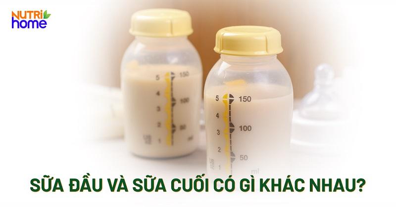 Sữa Đầu Và Sữa Cuối: Chìa Khóa Dinh Dưỡng Toàn Diện Cho Bé Yêu