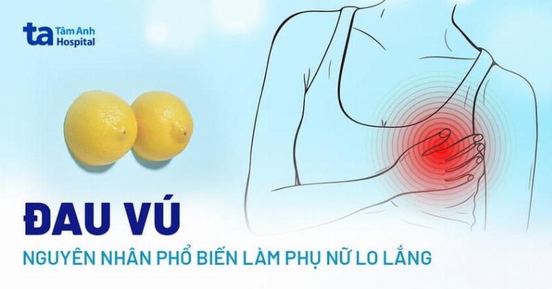 Đau Vú Là Dấu Hiệu Gì? Giải Mã Những Nỗi Lo Thầm Kín Của Phái Đẹp
