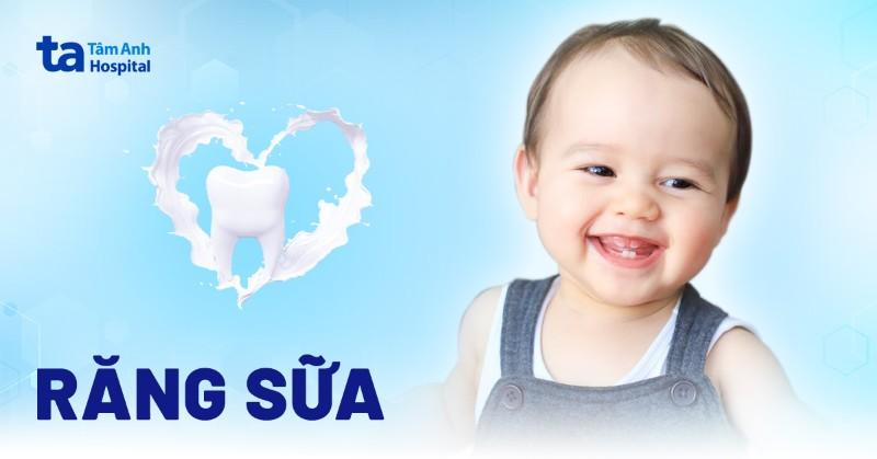Bé 4 Tuổi Có Nhổ Răng Được Không? Giải Đáp Chi Tiết Từ Chuyên Gia Nha Khoa Bảo Anh