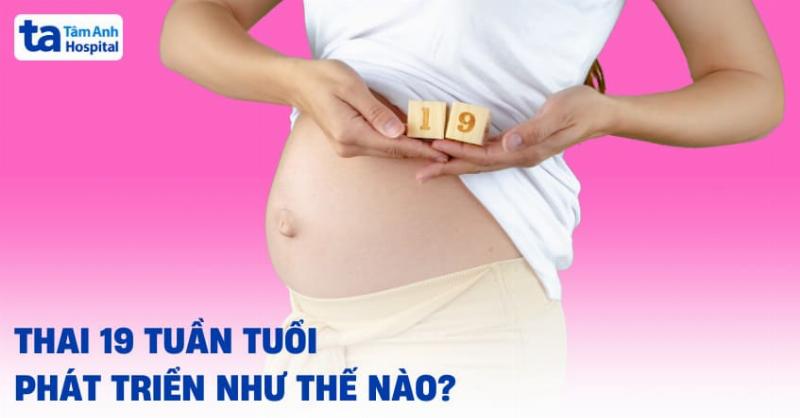 Thai 7 Tháng Là Bao Nhiêu Tuần? Cẩm Nang Quan Trọng Cho Mẹ Bầu