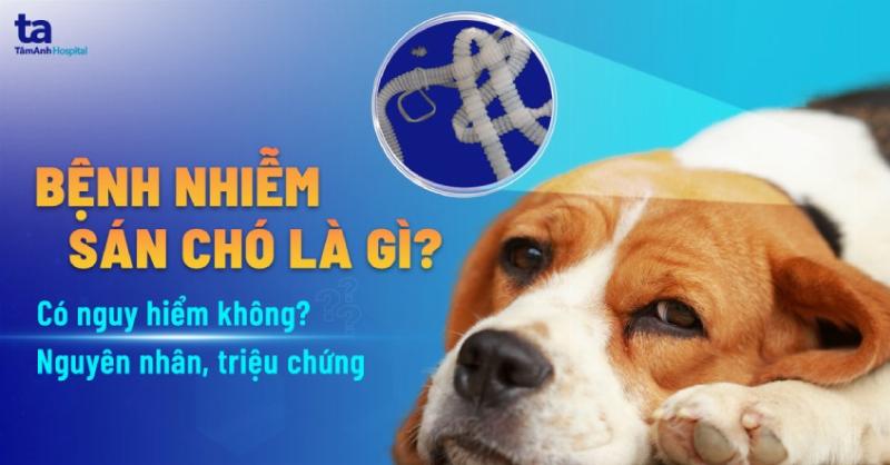 Các đối tượng có nguy cơ cao mắc bệnh sán chó như trẻ em, người nuôi thú cưng, người làm vườn cần cẩn trọng