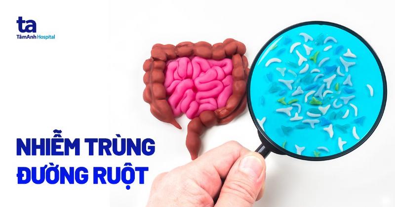 Nguyên nhân chính gây nhiễm trùng đường ruột bao gồm virus, vi khuẩn, ký sinh trùng lây qua thực phẩm, nước uống bị ô nhiễm.