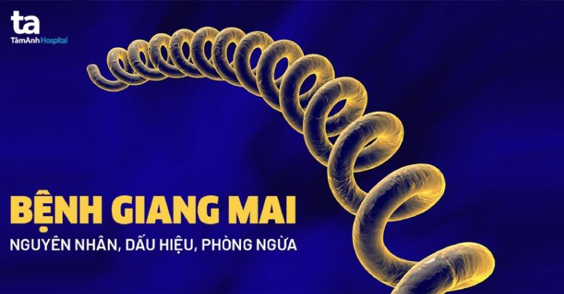 Sử dụng bao cao su đúng cách, chung thủy và xét nghiệm định kỳ là những biện pháp quan trọng giúp phòng ngừa giang mai ở nam giới.