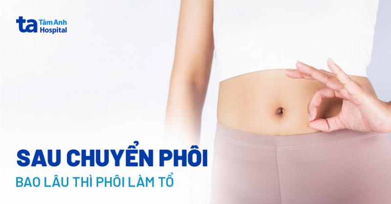 Hình ảnh minh họa quá trình thụ thai và cấy phôi trong tử cung người phụ nữ sau khi quan hệ tình dục