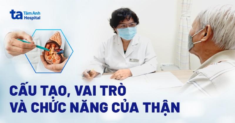 Bệnh Sỏi Thận Có Nguy Hiểm Không? Giải Mã Nguy Cơ & Biến Chứng Cần Biết