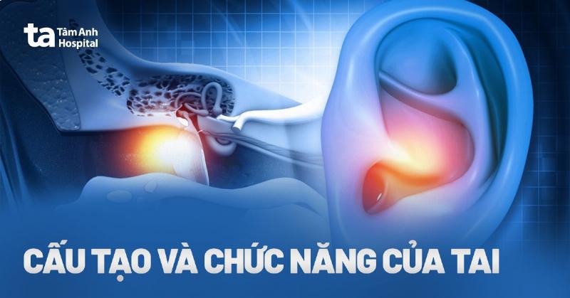 Xây xẩm chóng mặt nên uống gì để cơ thể phục hồi nhanh?
