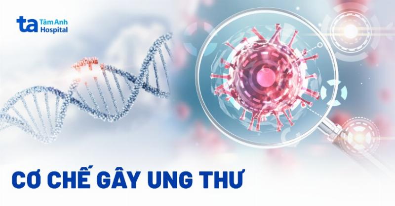 Hình ảnh biểu tượng hoặc đồ họa kết nối giữa tầm soát ung thư vú và các khía cạnh khác của sức khỏe (chế độ ăn, tập thể dục, khám định kỳ), thể hiện sự liên quan đến sức khỏe tổng thể, liên quan đến tầm soát ung thư vú ở đâu tốt nhất tphcm