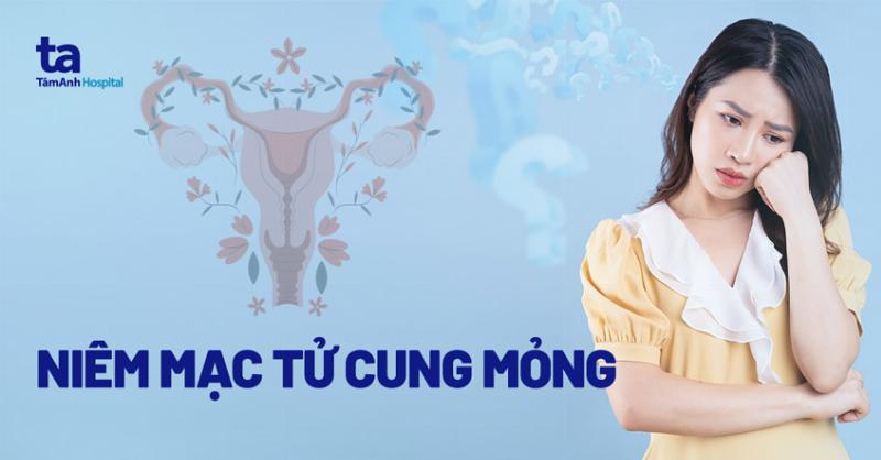 Canh niêm mạc bao lâu thì chuyển phôi? Giải mã thời điểm vàng