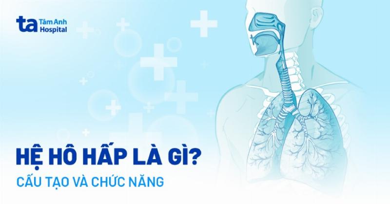 Đo Chức Năng Hô Hấp: Tại Sao Nha Khoa Bảo Anh Lại Quan Tâm Đến Hơi Thở Của Bạn?