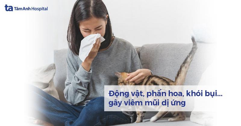Cách Chữa Viêm Mũi Dị Ứng Hiệu Quả: Cẩm Nang Toàn Diện