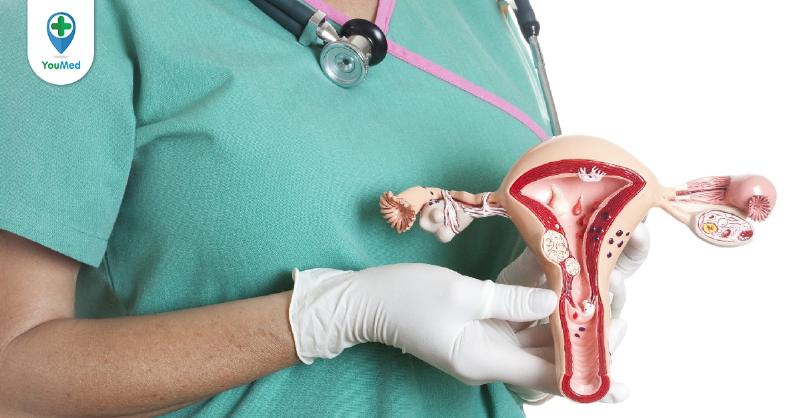 Hiểu Đúng Về Tập Co Bóp Tử Cung: Cẩm Nang Từ Chuyên Gia