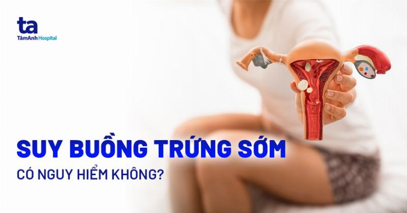 Không Có Trứng Trội: Nguyên Nhân Nào Đang Gây Khó Dễ Cho Giấc Mơ Làm Mẹ Của Bạn?