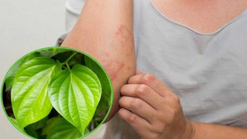 Hình ảnh minh họa vị trí u bã đậu sau tai so với cấu trúc tai