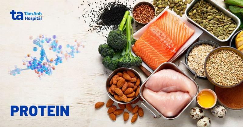 Hình ảnh minh họa vai trò của protein từ thịt nạc trong việc hỗ trợ chức năng gan khỏe mạnh.